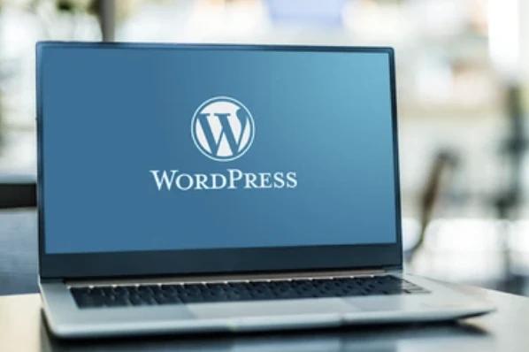 WordPress主题论坛-WordPress主题版块-WordPress-苏逸博客网