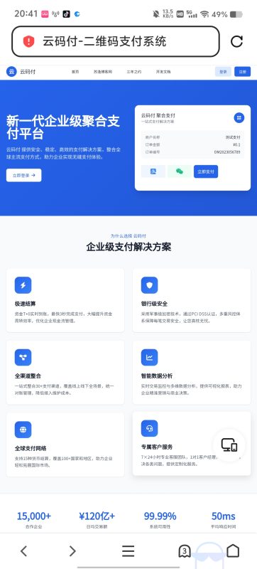 出售支付系统模板-苏逸博客网